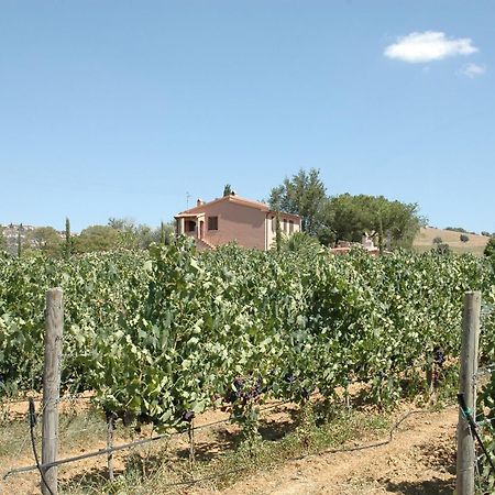Agriturismo Pian Dei Pini Montiano  Exteriör bild