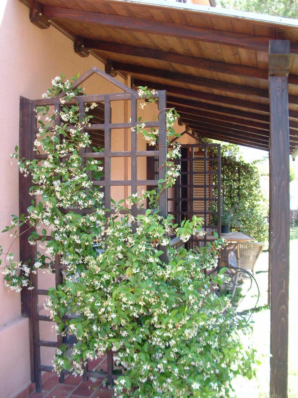Agriturismo Pian Dei Pini Montiano  Exteriör bild