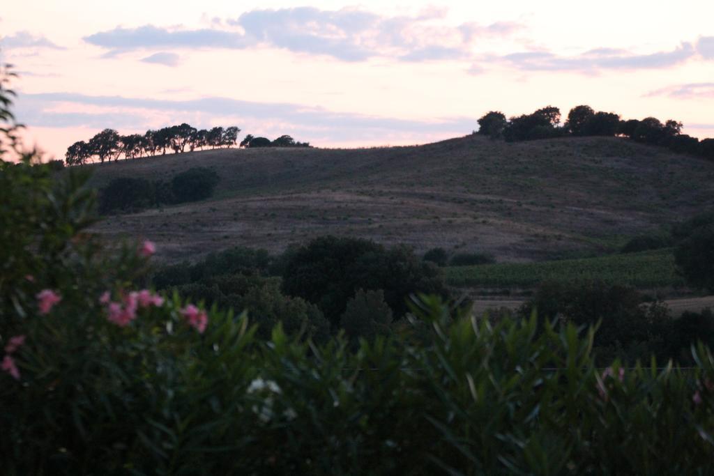 Agriturismo Pian Dei Pini Montiano  Exteriör bild