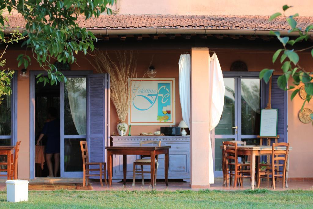 Agriturismo Pian Dei Pini Montiano  Exteriör bild